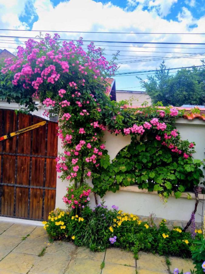 Guesthouse Elizabeth Samoko Dış mekan fotoğraf