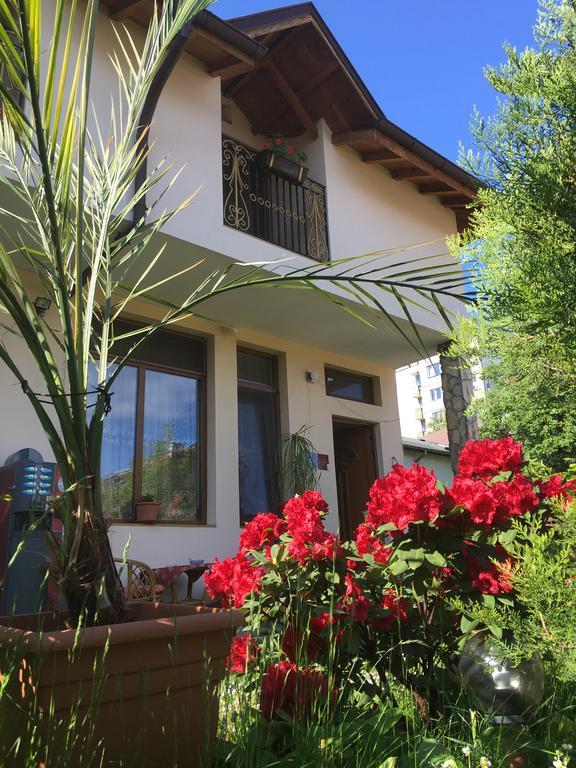 Guesthouse Elizabeth Samoko Dış mekan fotoğraf