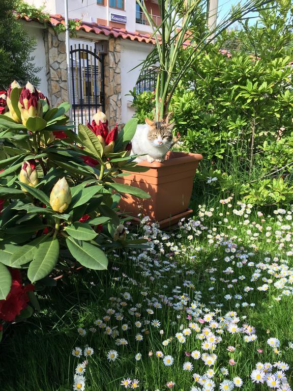 Guesthouse Elizabeth Samoko Dış mekan fotoğraf