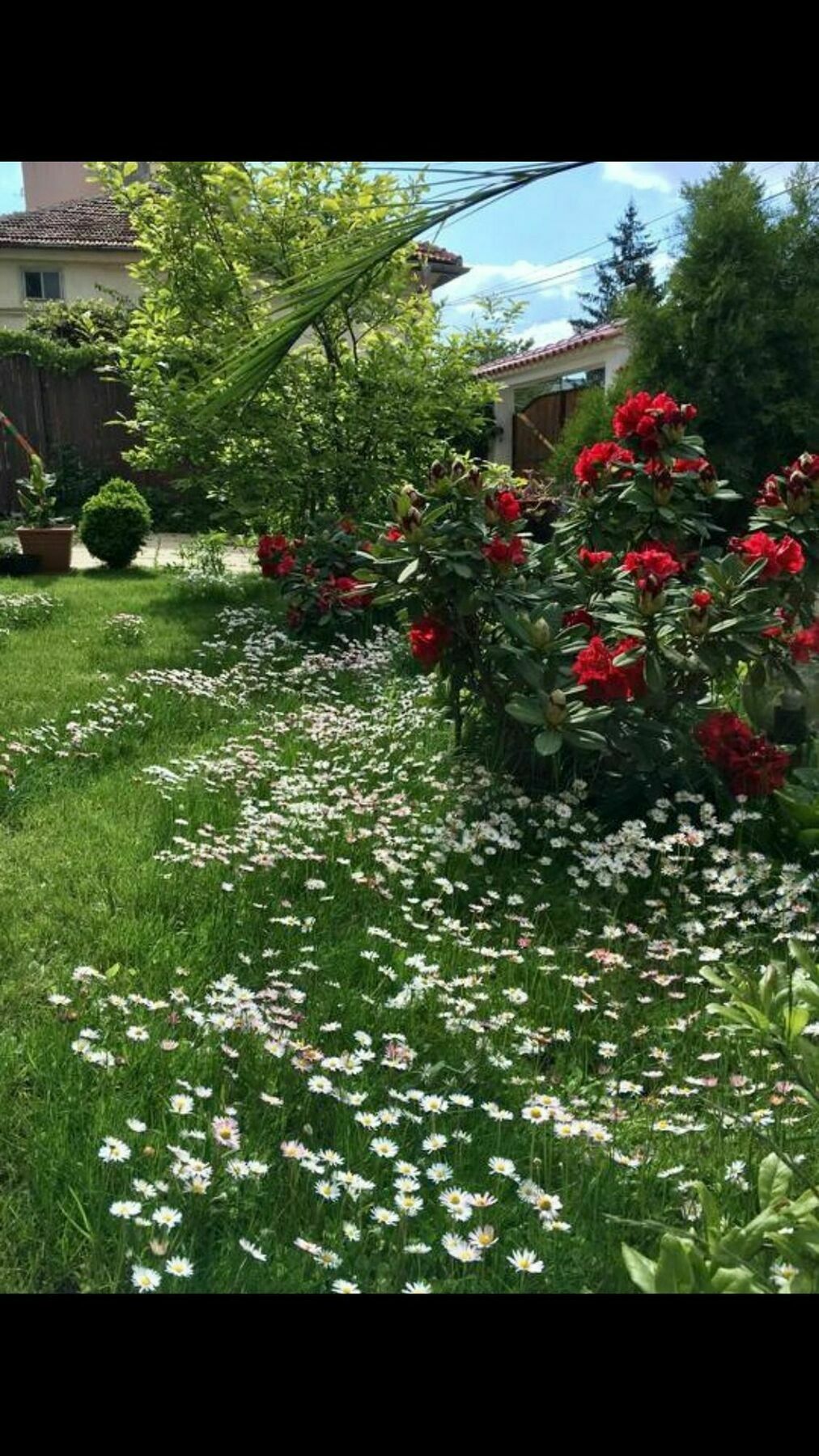Guesthouse Elizabeth Samoko Dış mekan fotoğraf